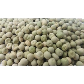 Pea Alaska Great Heirloom Vegetable 50 Seeds