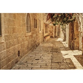 Canessioa Jerusalem Street Backdrop Ancient Stone Wall Background Old Town Street Background Israel Street Backdrop Baby Shower Wedding Background Town Travel Party Background Studio Props 10x8ft