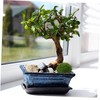 STOBOK 1pc Artificial Mossy Stone for Micro Landscape Decoration Green