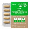 New Mate memory improvement ginkgo biloba extract, 30 tablets / 뉴메이트 기억력개선 은행잎추출물 징코빌로바, 30정