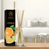 Citrus Reed Diffuser 3.4 Fl Oz (100ml) Room - Fragrance