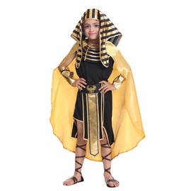 Boy Egyptian Pharaoh Costumes 13-14 years old