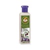Pharmaid Athenas Treasures Natural Body Lotion griechischer Safran 250ml