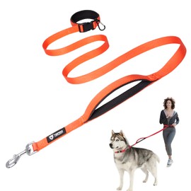 TSPRO Hands Free Dog Leash Adjustable Walking Running Safety Control Pad Handle with Heavy Clasp for Medium to Large Dogs (Orange, L-25)