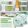 Natural Filters 4 Pack Greensaver Produce Preserver Filter Refills Compatible