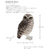 magnet anaholic owl burrowing owl