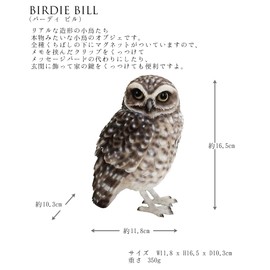 magnet anaholic owl burrowing owl