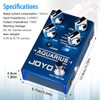 JOYO Digital Delay Effect Pedal with Looper (5 Minutes) R