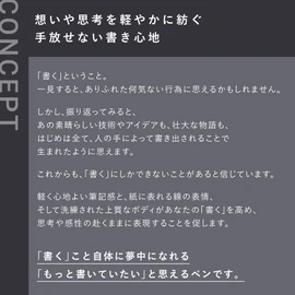 Kokuyo WP Series Pen (Finewriter WP-F100, Black)