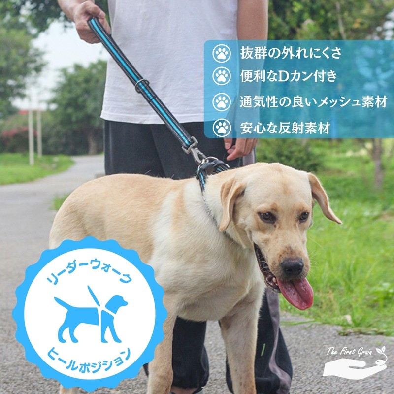 TheFirstGrain Short Lead for Large and Medium Dogs Walking Training