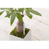 Sustee Aquameter (Small White Refillable - Bundle of 2) -