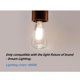 Dream lighting LED Edison Bulb 3W, 150 Lumens, Pure White 4000K, LED Vintage Replace Globe Dinette Light Fixtures, Pack of 2