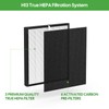 3-Pack FLT5900 True HEPA Replacement Filter J and UV-C Replacement