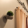 MayRich Company Cement Cupped Hands Wall-Mountable Planter & Birdfeeder –