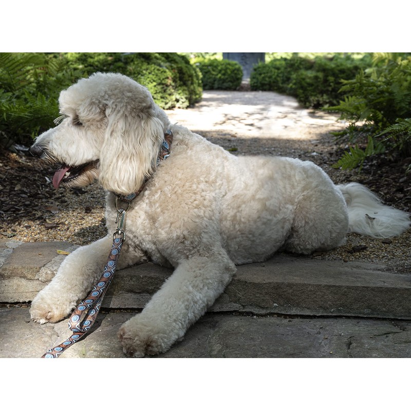 Country Brook Petz - Premium Saddle Up Dog Collar -