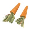 20pcs Carrot Shaped Hamster Toy Teeth Grinding Decorative Crude Fiber