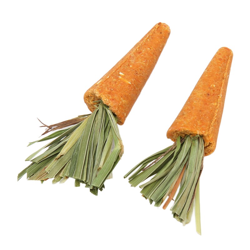 20pcs Carrot Shaped Hamster Toy Teeth Grinding Decorative Crude Fiber