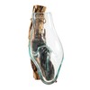 Cape Craftsmen Wall Mounted Molten Glass Hanging Terrarium on Driftwood,