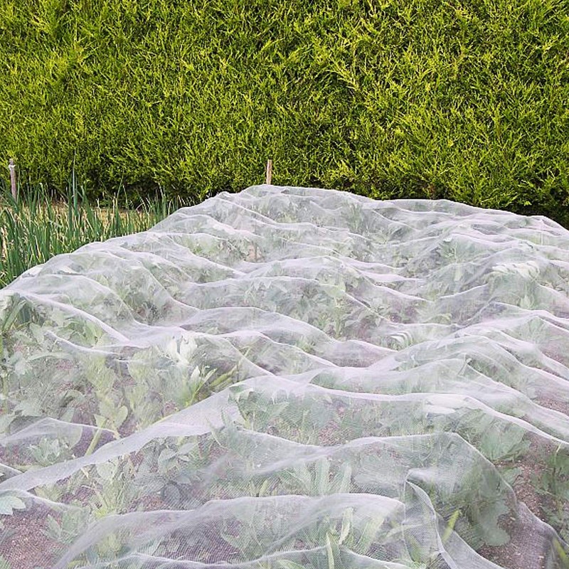 Garden Pest Barrier Netting, Thickened Mesh Net Bugs Out Plant