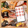 Wireless Bluetooth Roast Thermometer Smart Probe Oven BBQ Thermometer For