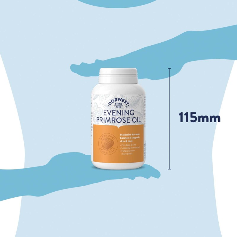 Dorwest Herbs Evening Primrose Oil Capsules for Dogs and Cats