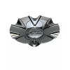 VCT Chrome Wheel Center Cap 213-2490-CAP