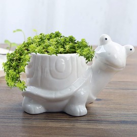 GeLive Tortoise Succulent Planter Turtle Plant Pot Animal Fun Vase Window Box Cute Home Decoration, 5 Inch, Indoor Outdoor