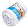 WaterSentinel WSG-1 Made in USA Refrigerator Replacement Filter: Fits GE