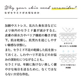 皮膚科専門医監修 ドクターレシピ オリジナルサプリ セラミドミックス 30日分（1.5g×30包） 3箱セット 米由来グルコシルセラミド配合 セラミド サプリ サプリメント