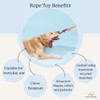 PAWPOURRI Rope & Suede Toy for Adult Dogs, Puppies, Cats