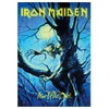 Iron Maiden Poster Flag Fear of the Dark Live
