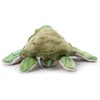 The Petting Zoo, Plush Animal Toy, Conservation Turtle (10" /