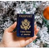 2pcs Hanging Blown Glass Passport Christmas Ornament for Christmas Tree