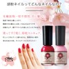 Kyoto Mustache Powder Nail Satsuki