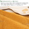 Rivere My Neighbor Totoro Cat Bath Nap Blanket Towel Blanket