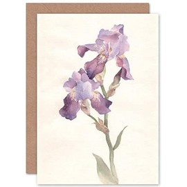 Wee Blue Coo Flower Violet Iris Watercolour Greeting Card With Envelope Inside Premium Quality