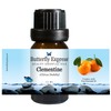 Clementine Essential Oil 10ml - 100% Pure by Butterfly Express