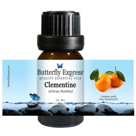 Clementine Essential Oil 10ml - 100% Pure by Butterfly Express