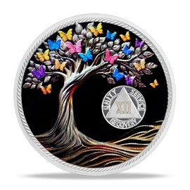 12 Year Sobriety Coin Gifts | Sun and Black Butterfly AA Coins - HA AA Chip Medallion with Serenity Prayer | Narcotics Alcoholics Anonymous Gifts for Anniversary Year for Men & Women in Recovery