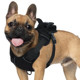 Hjumarayan Dog Harness Small Dogs, Padded Dog Harness with Handle, Chest Harness Dog with Oxford Fabric, Reflective Stripes for Daily Walks, Black, S