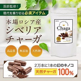 チャーガ100% 無添加 ロシア産 チャーガ サプリ 天然チャーガ100% ロシア霊芝 カバノアナタケ 白樺の木 AILK(アイルク)チャーガクイーン 200mg×180粒 エイジングケア