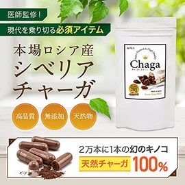 チャーガ100% 無添加 ロシア産 チャーガ サプリ 天然チャーガ100% ロシア霊芝 カバノアナタケ 白樺の木 AILK(アイルク)チャーガクイーン 200mg×180粒 エイジングケア