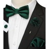 JEMYGINS Men's Bow Tie Satin Bow Tie and Pocket Square
