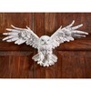 Design Toscano Mystical Snowy Owl Bird Indoor/Outdoor Wall Frieze Sculpture,