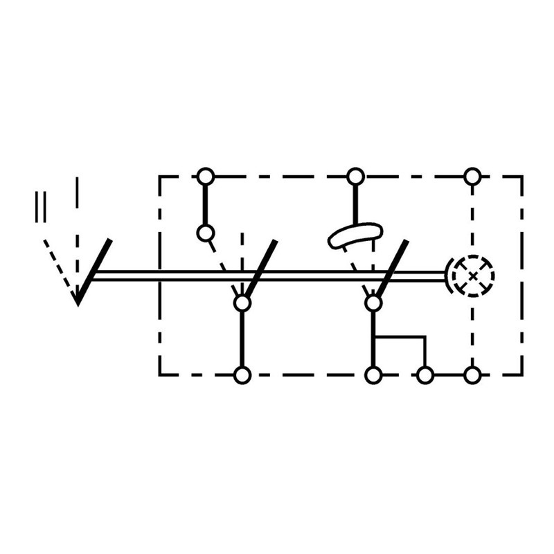 HELLA 6RH 004 570-671 Switch - Flip Switch Control -