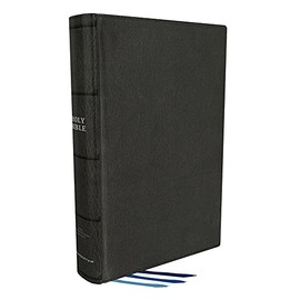 NIV, Thompson Chain-Reference Bible, Genuine Goatskin Leather, Black, Premier Collection, Black Letter, Art Gilded Edges, Comfort Print