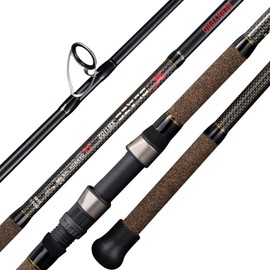 BERRYPRO Surf Rod Pure Carbon Surf Spinning Rod Graphite Surf Fishing Rod (9'/10'/11'/12') (10'-Spinning-2pc)