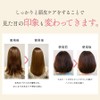 Careness Hair Oil, Reno Hair Oil, Men's, Women's, Styling, Won't