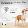 Ortocanis - Dog Knee Protector |Adjustable Neoprene Canine Knee Brace