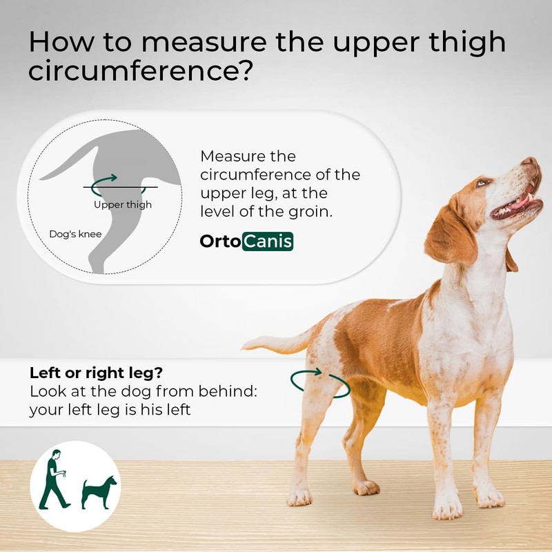 Ortocanis - Dog Knee Protector |Adjustable Neoprene Canine Knee Brace